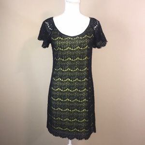 Max Studio Navy Lace and Citron Dress